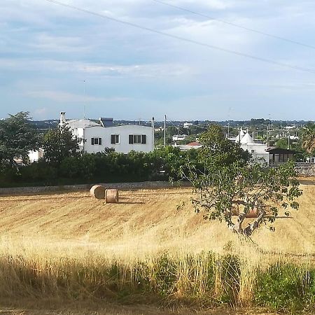 B&B Valle D'Itria 马丁纳弗兰卡 外观 照片